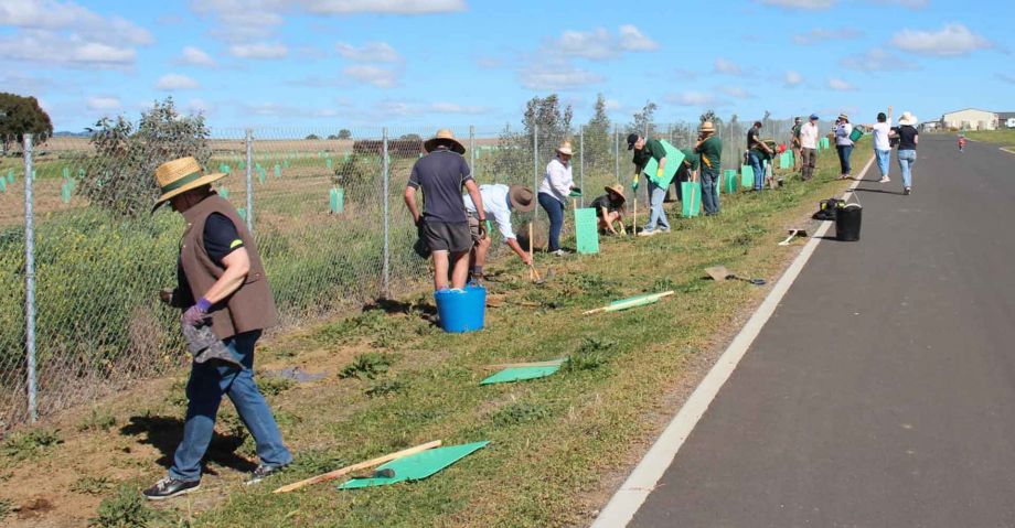 rotary club of tamworth